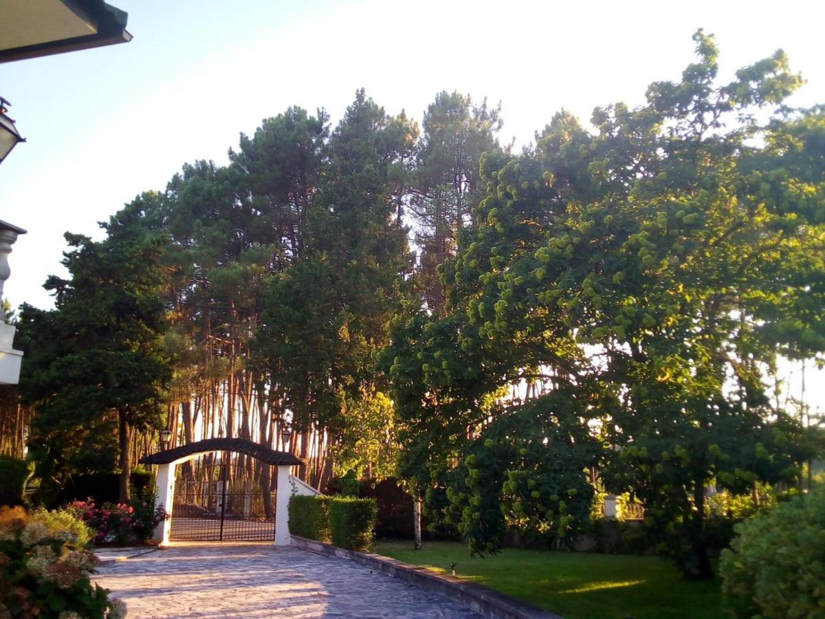 Pinheirinhos - Quinta De Sao Caetano Villa Carapito Exterior photo